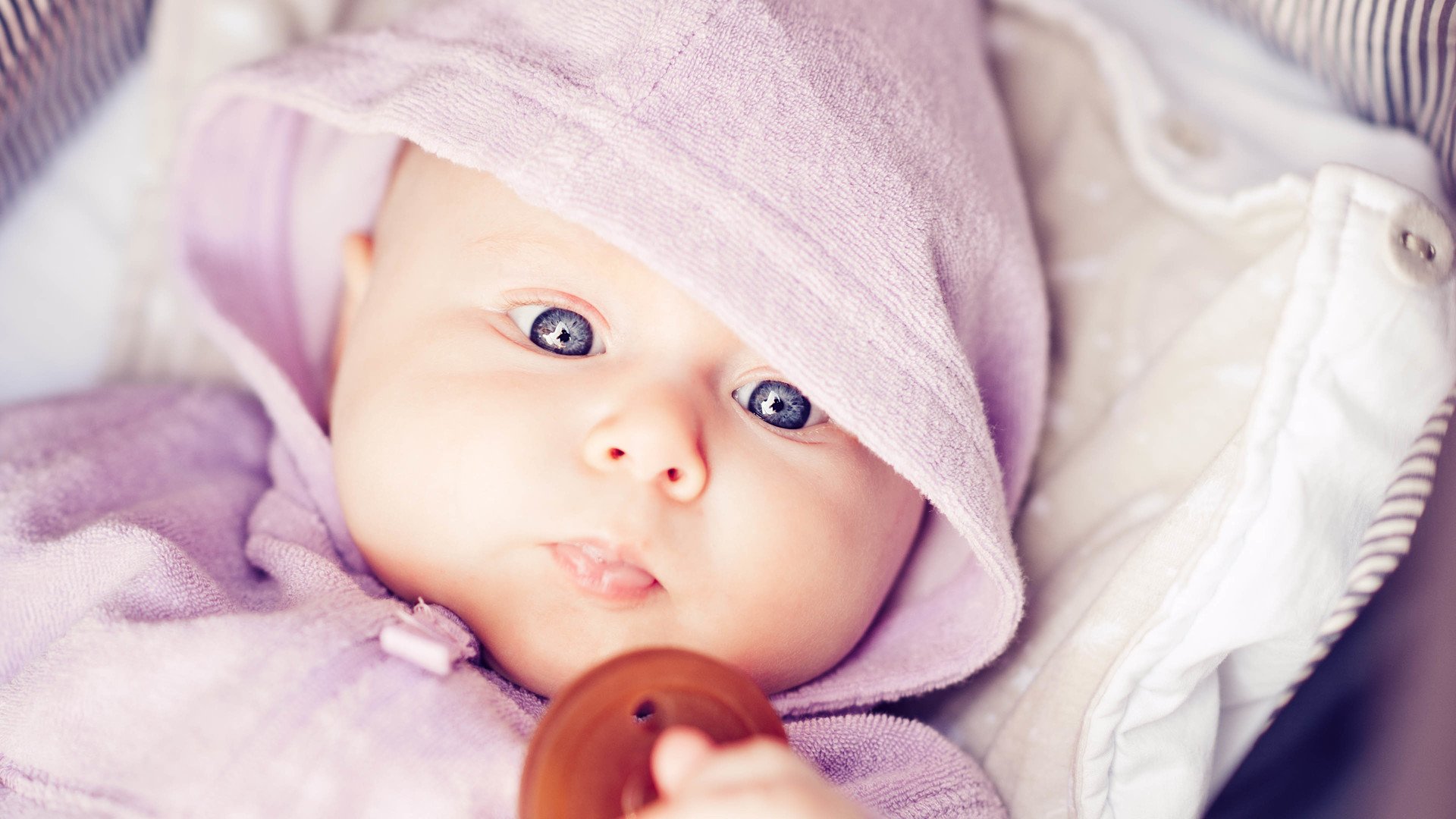 供卵助孕2014年试管婴儿成功率